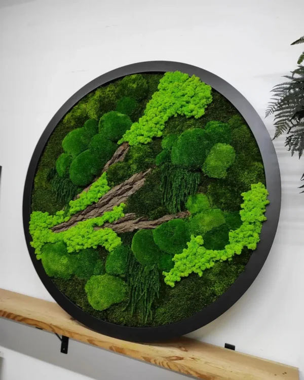 cerc cu licheni decorativi cerc din licheni stabilizati